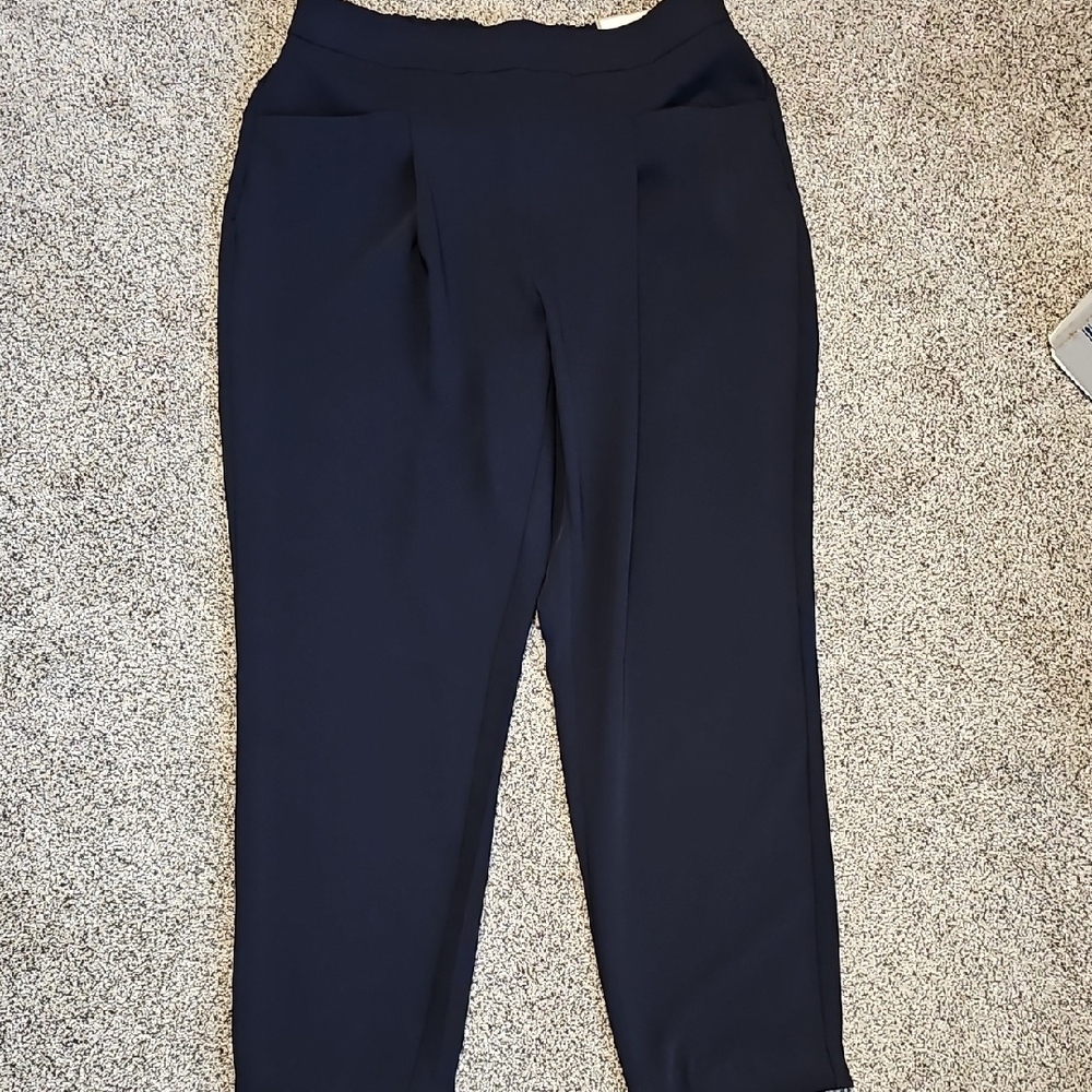 Chico's Dark Blue Women's Pants
